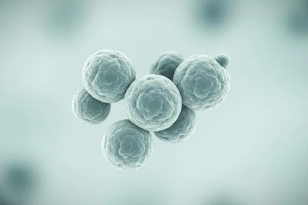 MRSA (Methicillin-resistant Staphylococcus aureus) කියන්නේ මොකක්ද? බය වෙන්න එපා, අපි මේ ගැන සරලව කතා කරමු!
