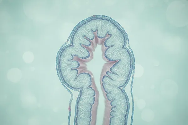 ඔයාගේ මුත්රා මාර්ගය (Urethra) ගැන මේ දේවල් හරියටම දැනගමුද?