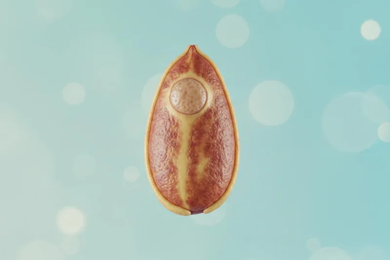 ඔයාගෙ ඇඟ ඇතුළෙත් මේ වගේ ගෙඩියක්? (Adrenal Adenoma) ගැන සරලවම දැනගමු!