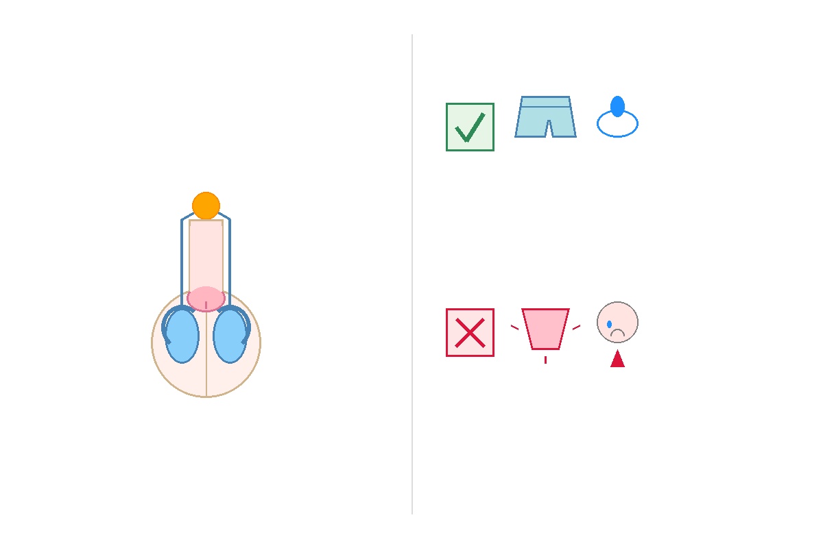 පිරිමි ප්රජනක පද්ධතිය (Male Reproductive System) කියන්නේ මොකක්ද? අපි සවිස්තරව කතා කරමු! Infographic